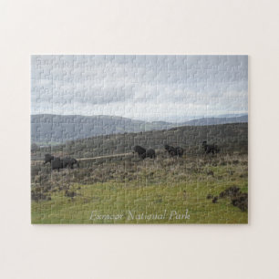 Puzzle Ponies sur Exmoor National Park, Angleterre