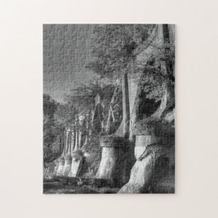 Puzzle Pont interurbain