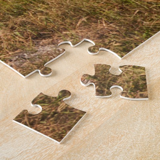 Puzzle Pont Rainbow Curve juste devant Baxter Springs (Côté)