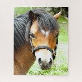 PUZZLE PONY BROWN (Vertical)