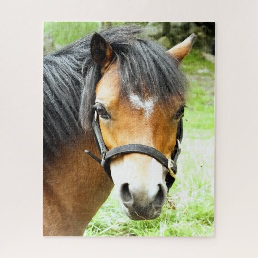 PUZZLE PONY BROWN (Vertical)