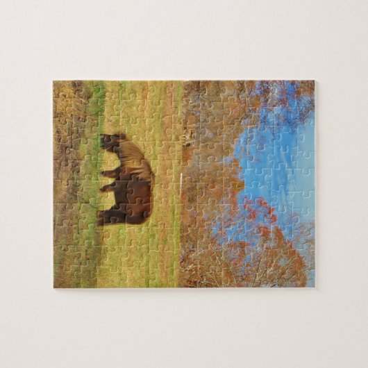 Puzzle Pony miniature Brown (Horizontal)