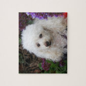 Puzzle Poodle Dog Jigsaw (Vertical)