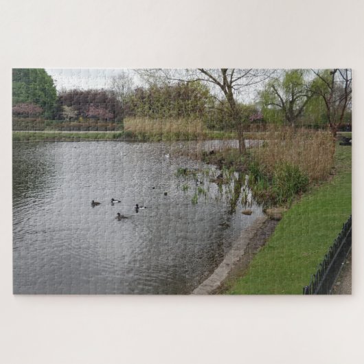 Puzzle Pool & Birds (Horizontal)