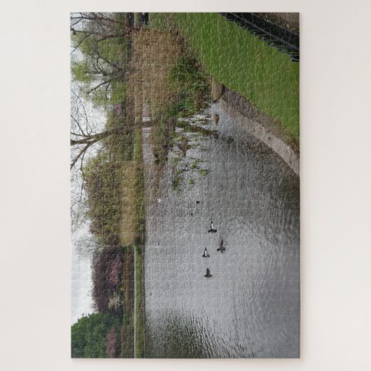 Puzzle Pool & Birds (Vertical)