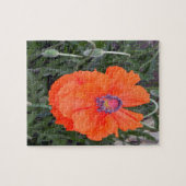 Puzzle Poppy chinois.... (Horizontal)