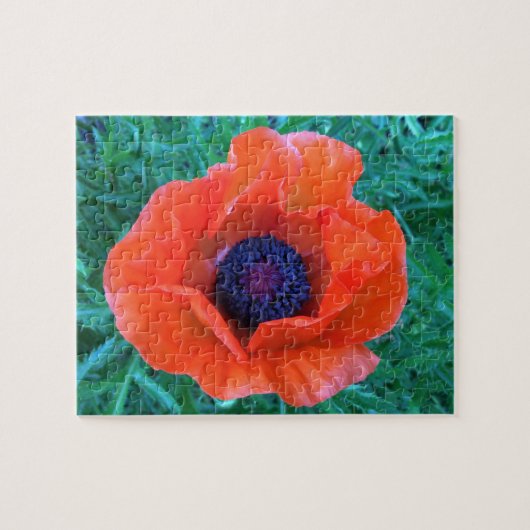 Puzzle POPPY Oriental Red Orange — (Horizontal)