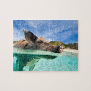Puzzle Porc de natation d'Exuma