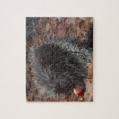 Puzzle Porc-épic et Apple (Vertical)