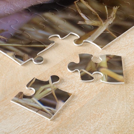 Puzzle Porc mignon doux (Côté)