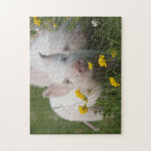 Puzzle Porcelets blancs mignons en fleurs jaunes - animal (Vertical)
