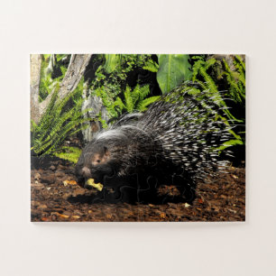Puzzle Porcupine