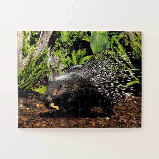 Puzzle Porcupine (Horizontal)