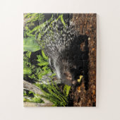 Puzzle Porcupine (Vertical)