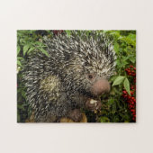 Puzzle Porcupine (Horizontal)