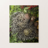 Puzzle Porcupine (Vertical)