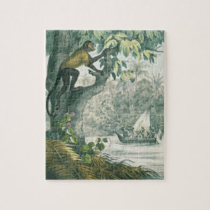 Puzzle Portées supérieures de l'Amazone, du 'der de DAS