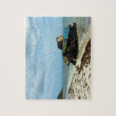 Puzzle Porto Rico, Culebra, flamenco de Playa (Vertical)