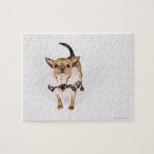 Puzzle Portrait bizarre d'une Teacup Chihuahua (Horizontal)