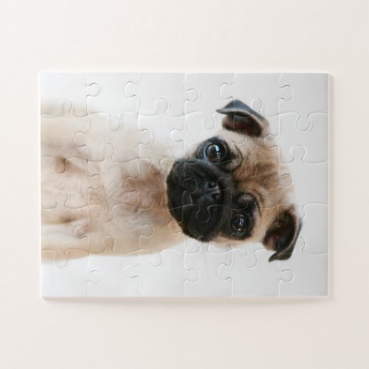 Puzzle Portrait Carlin bébé (Horizontal)