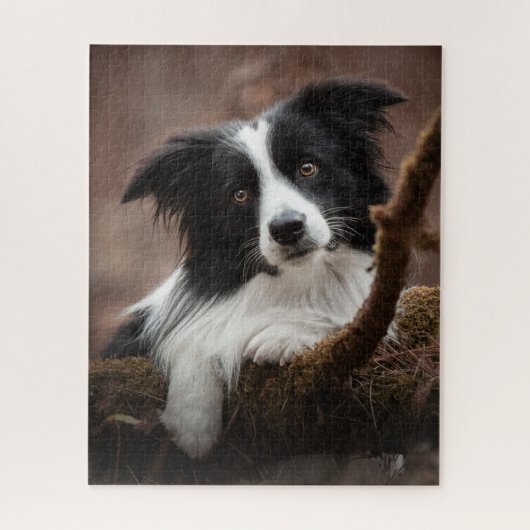 Puzzle Portrait Collie Bordure Étonnant (Vertical)