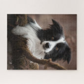 Puzzle Portrait Collie Bordure Étonnant (Horizontal)