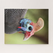 Puzzle Portrait coloré de Guinée-Volaille (Horizontal)