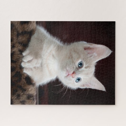 Puzzle Portrait Cute Kitten (Horizontal)