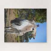 Puzzle Portrait d'âne Brown pendant la journée ensoleillé (Horizontal)