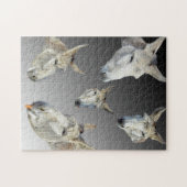 Puzzle portrait de A Donkey, (Horizontal)