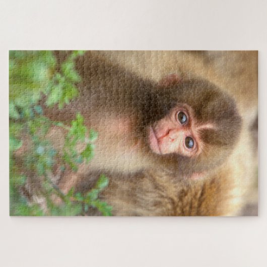 Puzzle Portrait de bébé du singe des neiges (Horizontal)