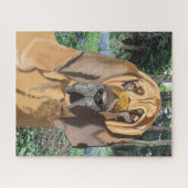 Puzzle Portrait de Bloodhound (Horizontal)