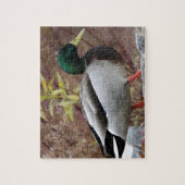 Puzzle Portrait de canard de Mallard (Vertical)