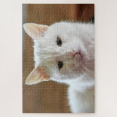 Puzzle Portrait de chat blanc Angora turc (Vertical)