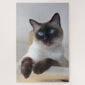 Puzzle Portrait de chat de Siamese (Vertical)
