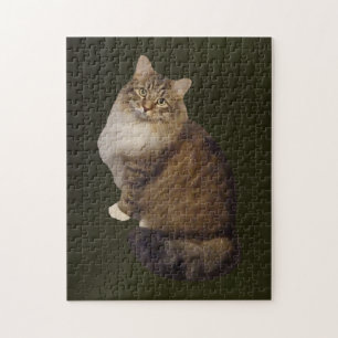 Puzzle Portrait de chat Maine Coon