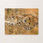 Puzzle Portrait de Cheetah (Horizontal)