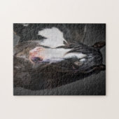 Puzzle Portrait de cheval II (Horizontal)