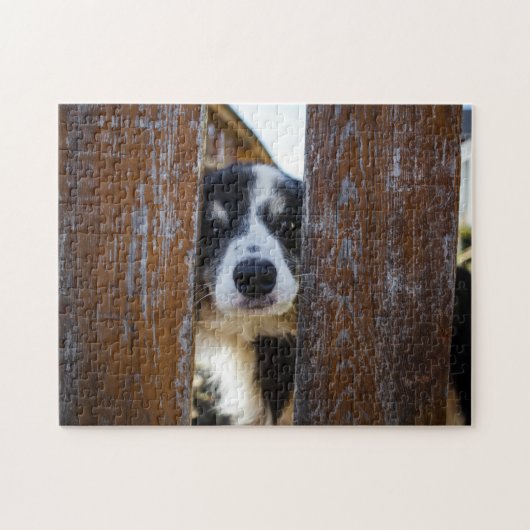 Puzzle Portrait de chien Border Collie mignon (Horizontal)