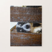 Puzzle Portrait de chien Border Collie mignon (Vertical)