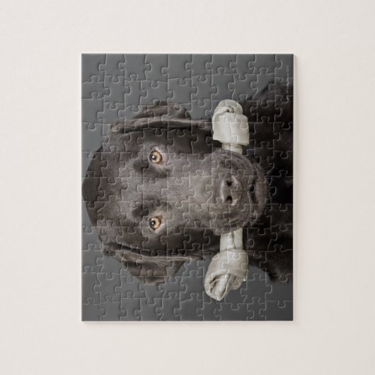 Puzzle Portrait de chocolat labrador (Vertical)