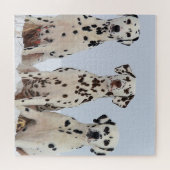 Puzzle Portrait de Dalmatian Family (Horizontal)