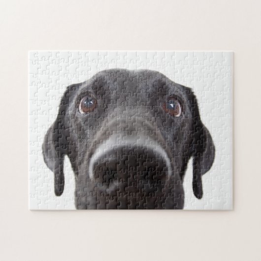 Puzzle Portrait de fermeture Black Labrador (Horizontal)