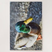Puzzle Portrait de fermeture du canard colvert mâle (Vertical)