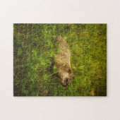 Puzzle Portrait de fond dans un champ (Horizontal)