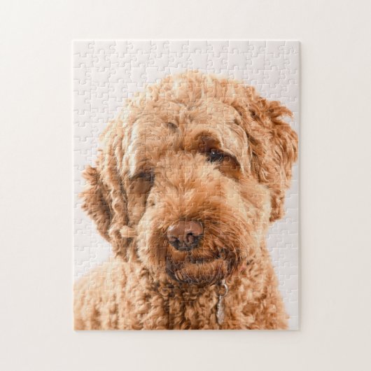 Puzzle Portrait de Goldendoodle Studio (Vertical)