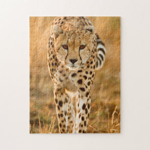 Puzzle Portrait de guépard (Acinonyx Jubatus), Maasai