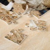 Puzzle Portrait de lièvre antélope, Arizona (Côté)