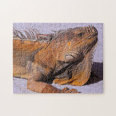 Puzzle Portrait de l'Iguana (Horizontal)