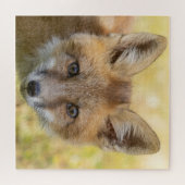 Puzzle Portrait de Little Cutie Fox (Horizontal)